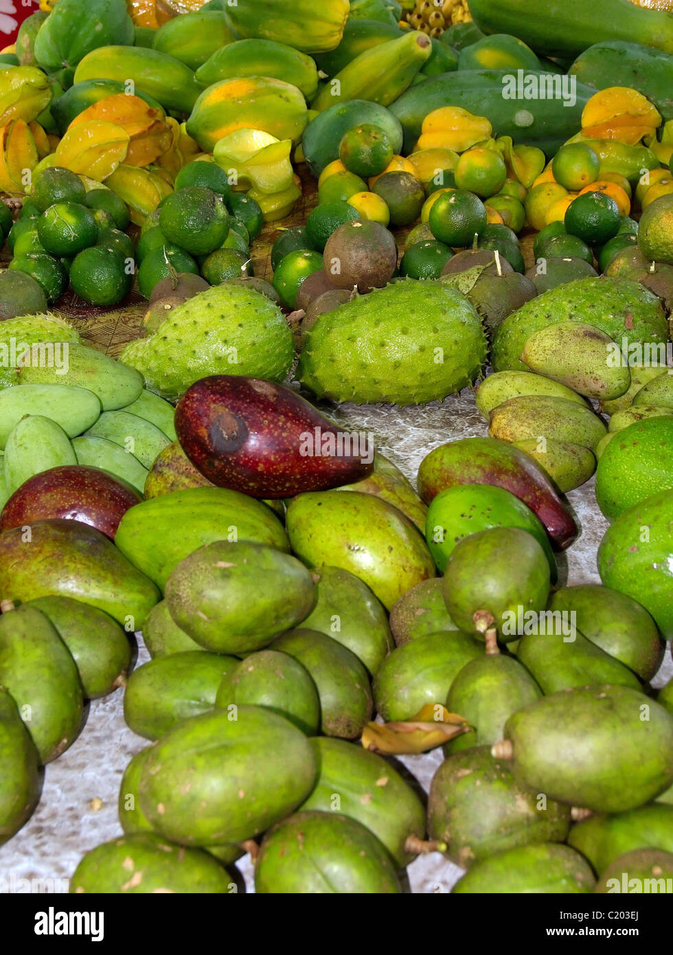 Tropical frets hi-res stock photography and images - Alamy