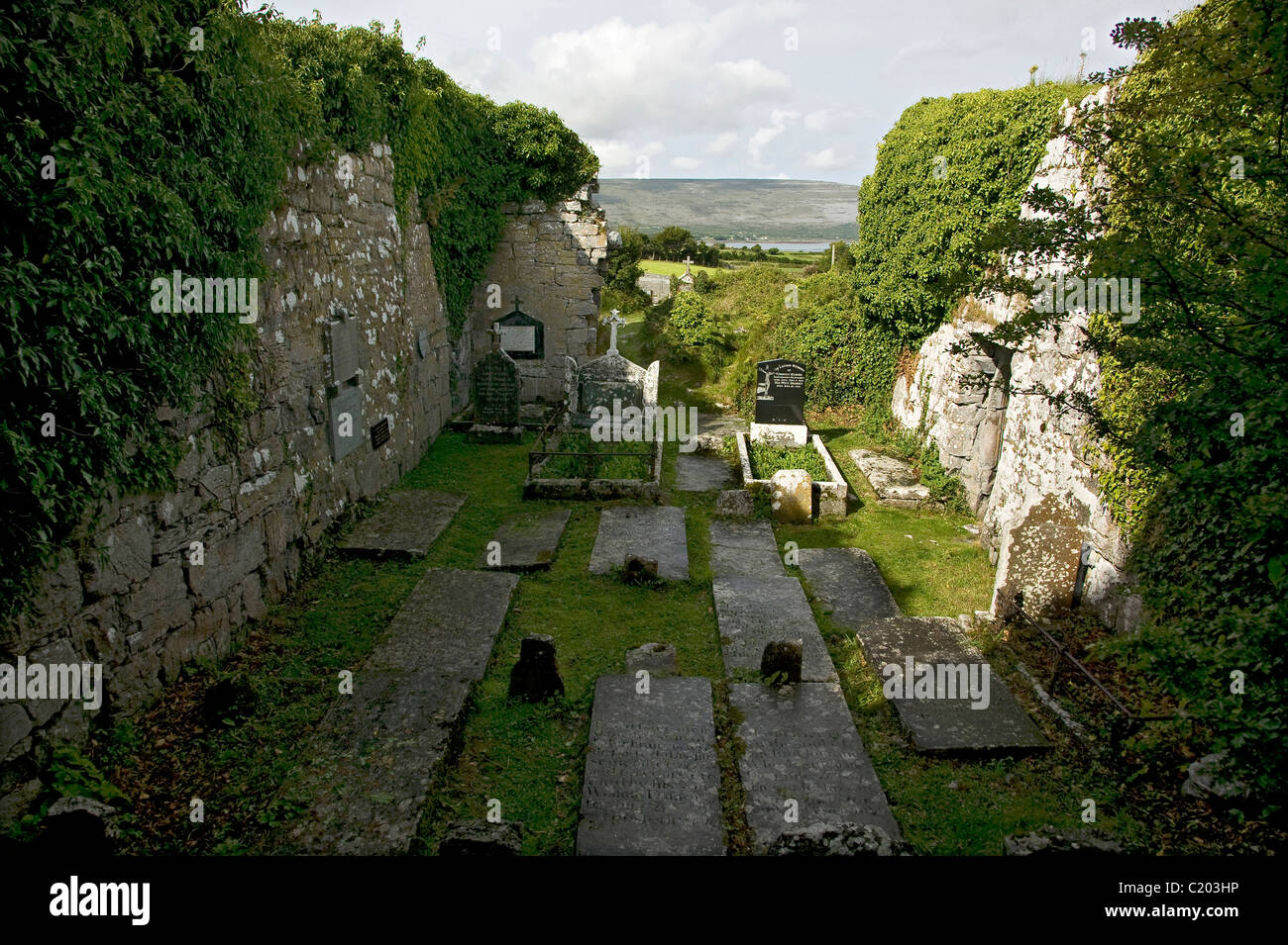 Corcomroe Abbey Ireland Stock Photo