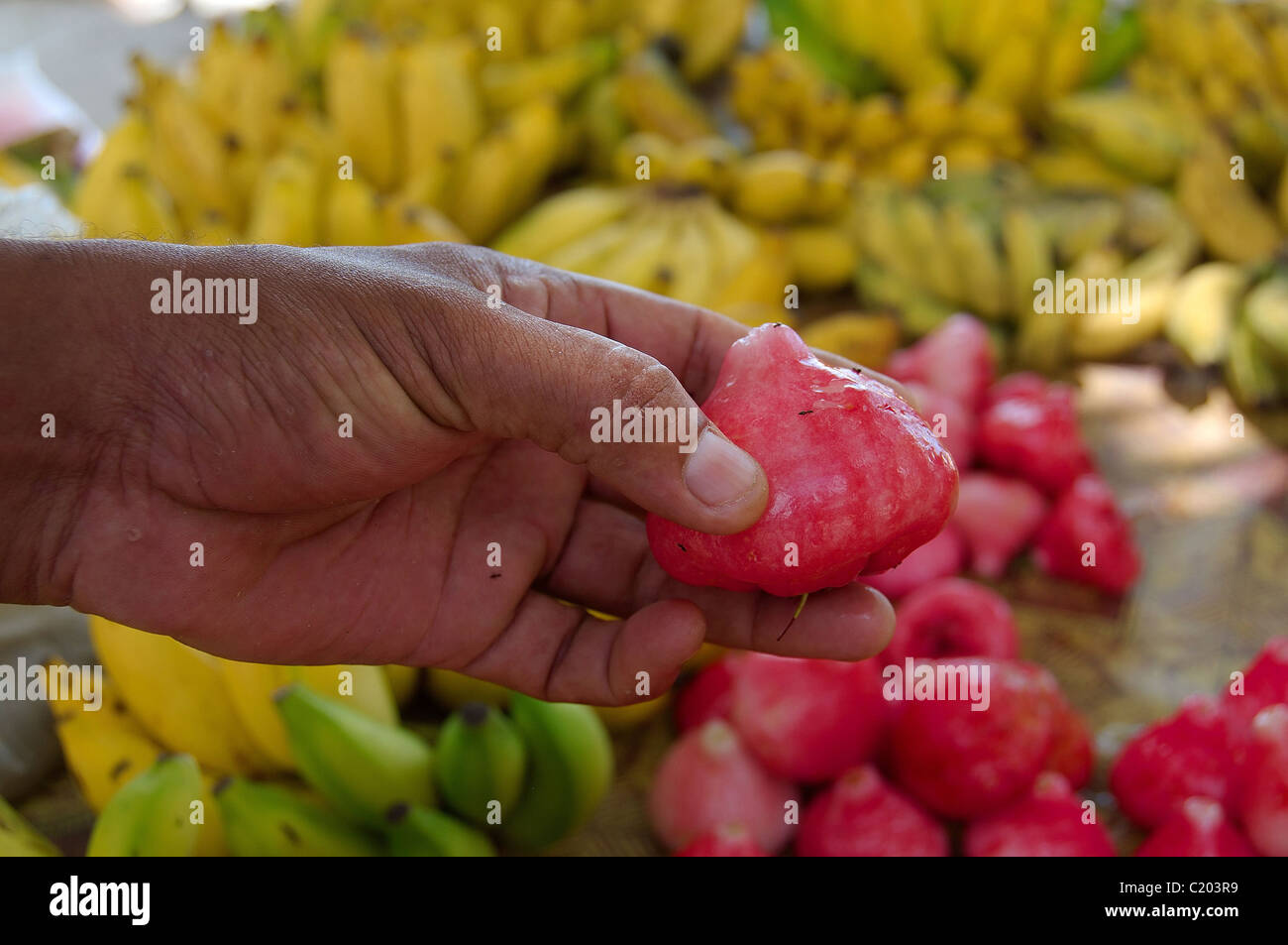 Exotic tropical fruit products hi-res stock photography and images - Alamy