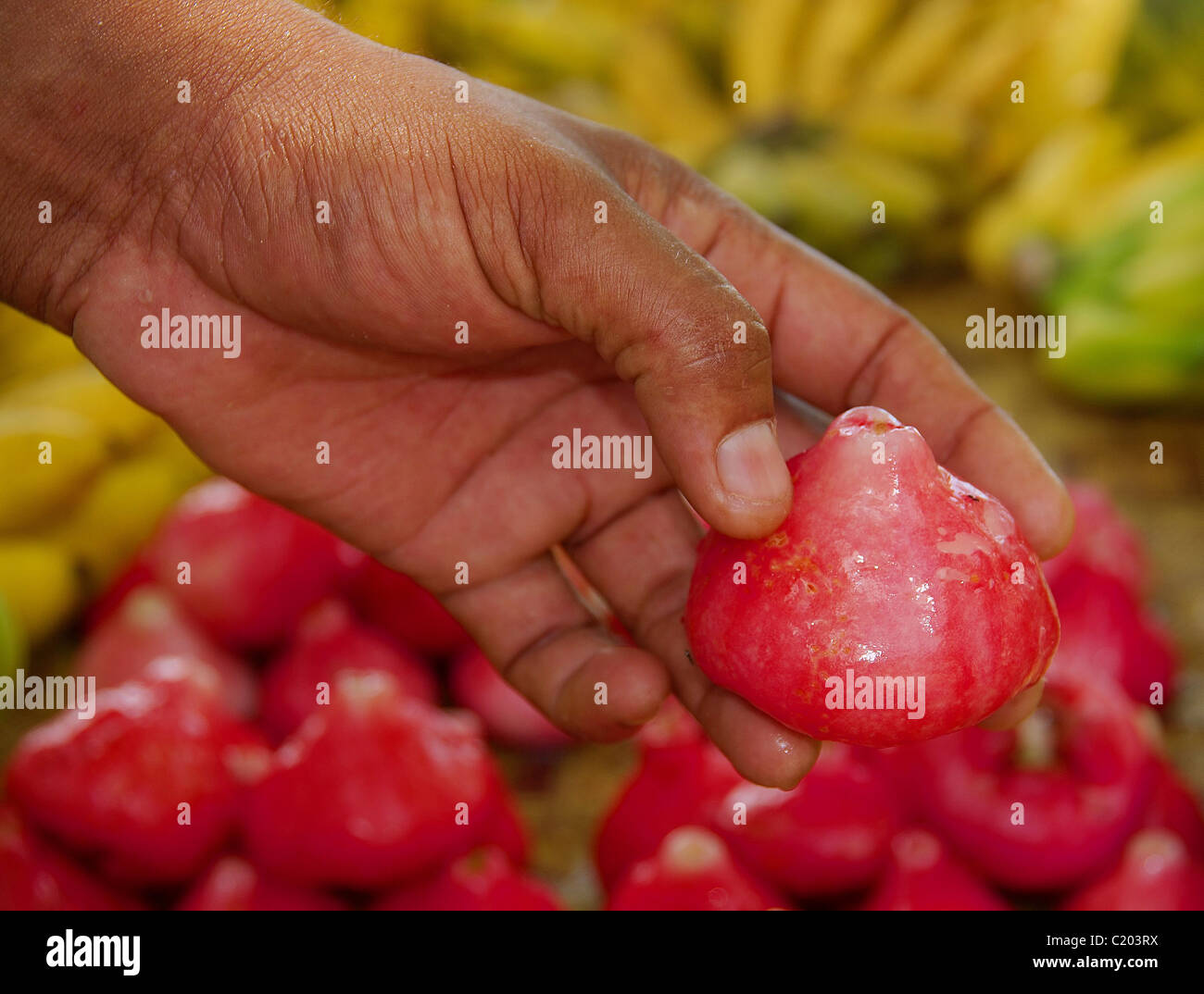 Exotic tropical fruit products hi-res stock photography and images - Alamy