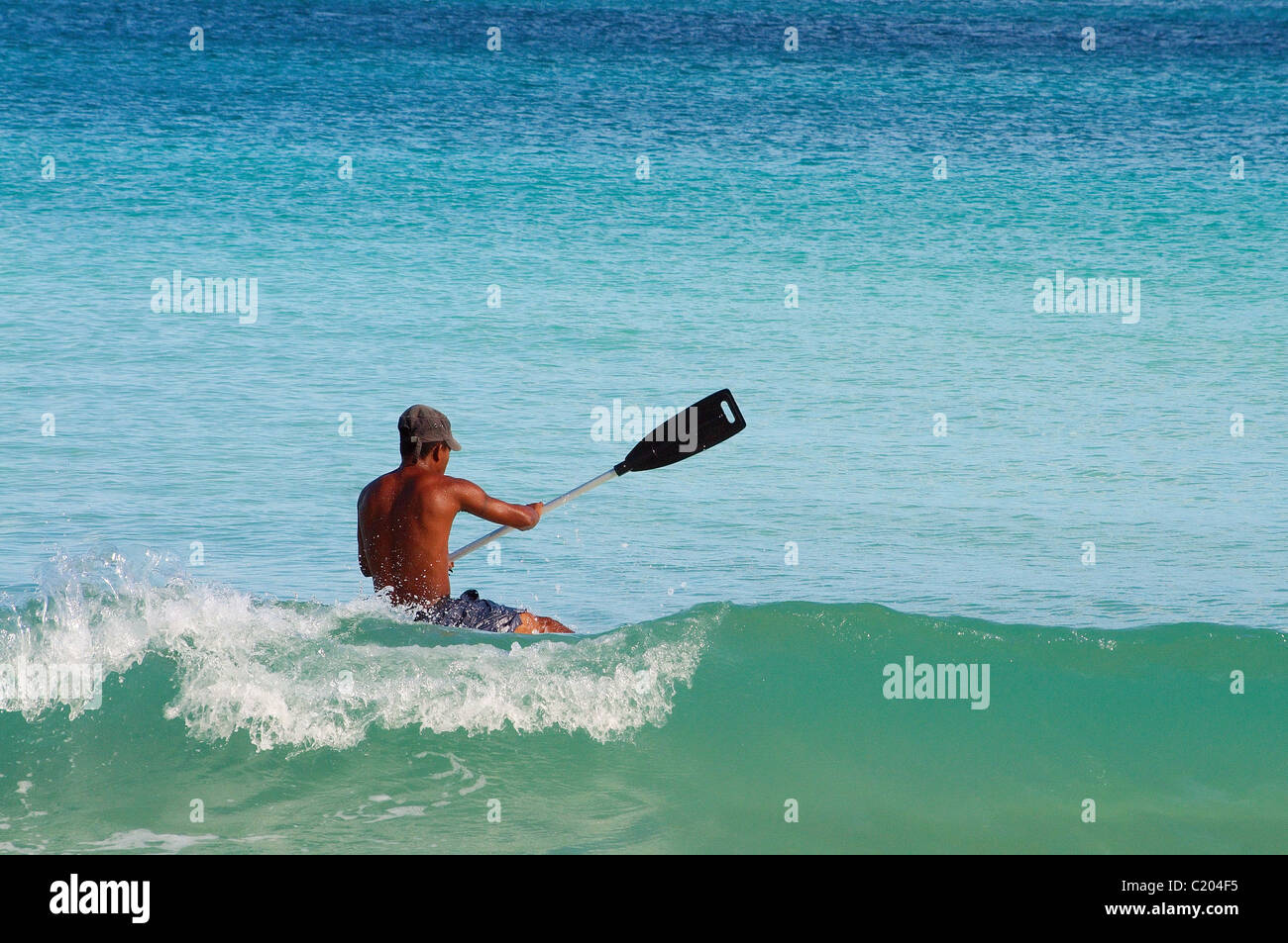 Naturaleza seychelles hi-res stock photography and images - Alamy