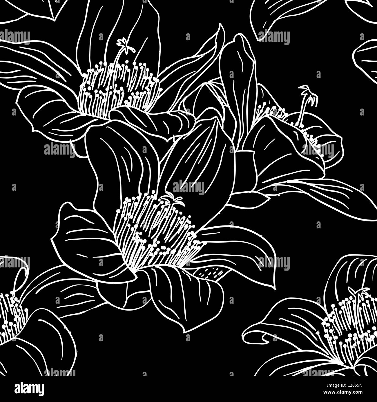 Beautiful orchid flowers in garden Black and White Stock Photos ...