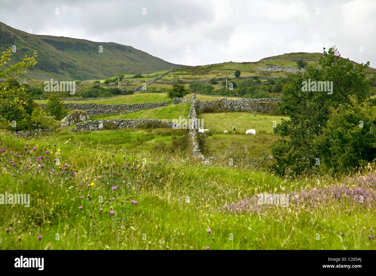 Landscape in Joyce's Country Ireland Stock Photo