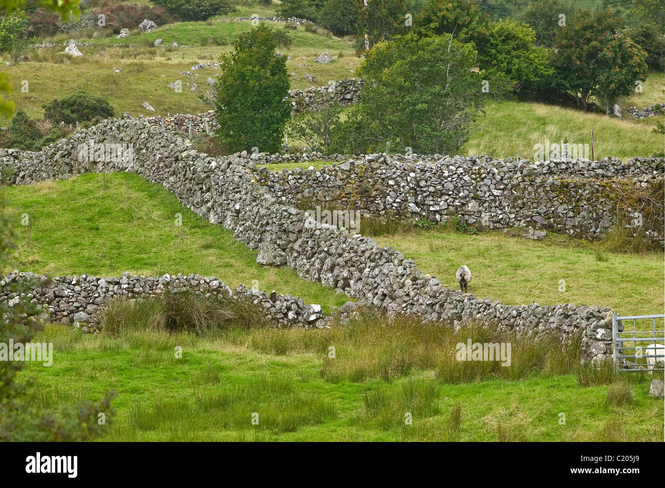 Landscape in Joyce's Country Ireland Stock Photo