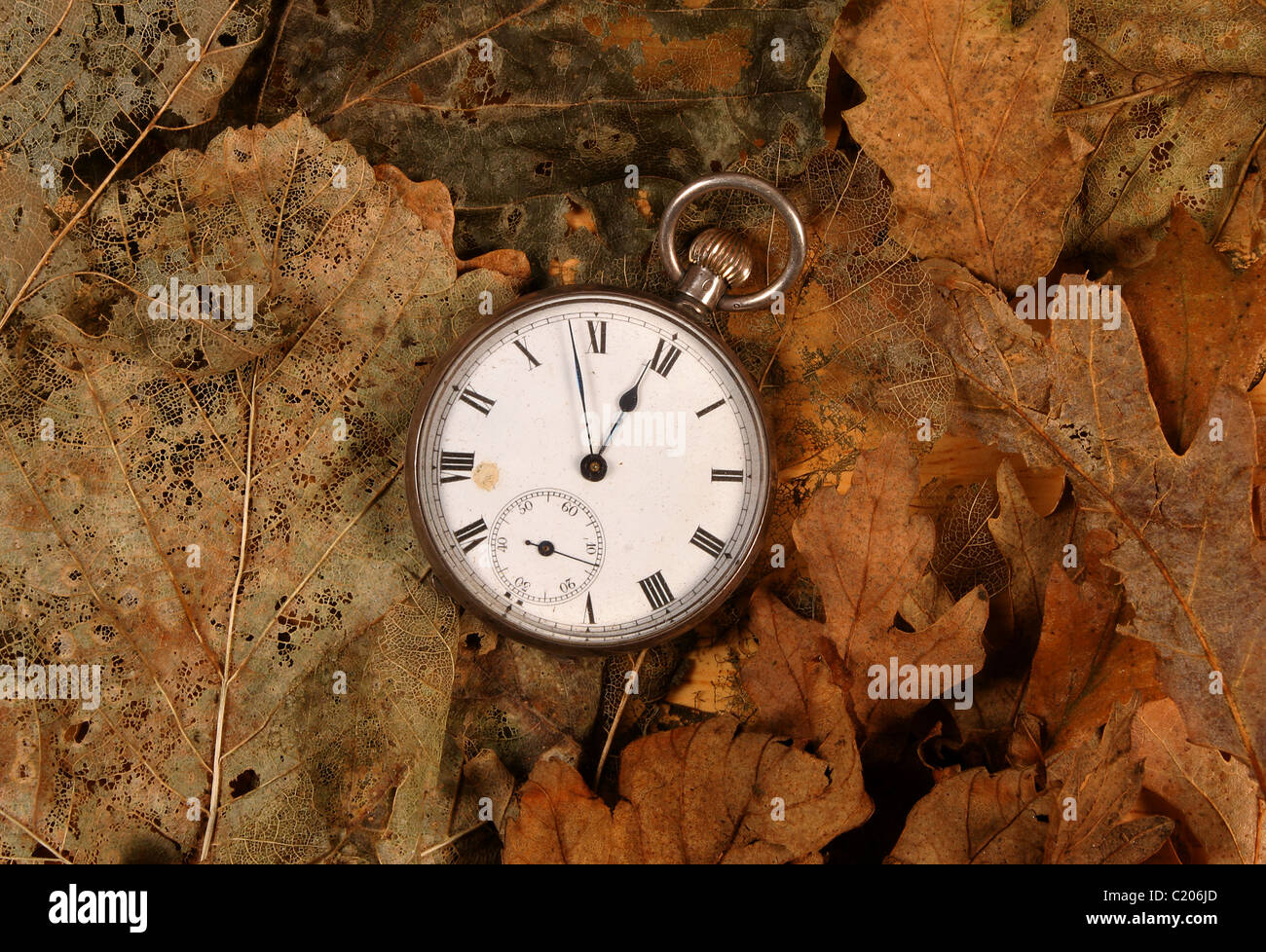 Antique pocket watch on dead leaves Stock Photo