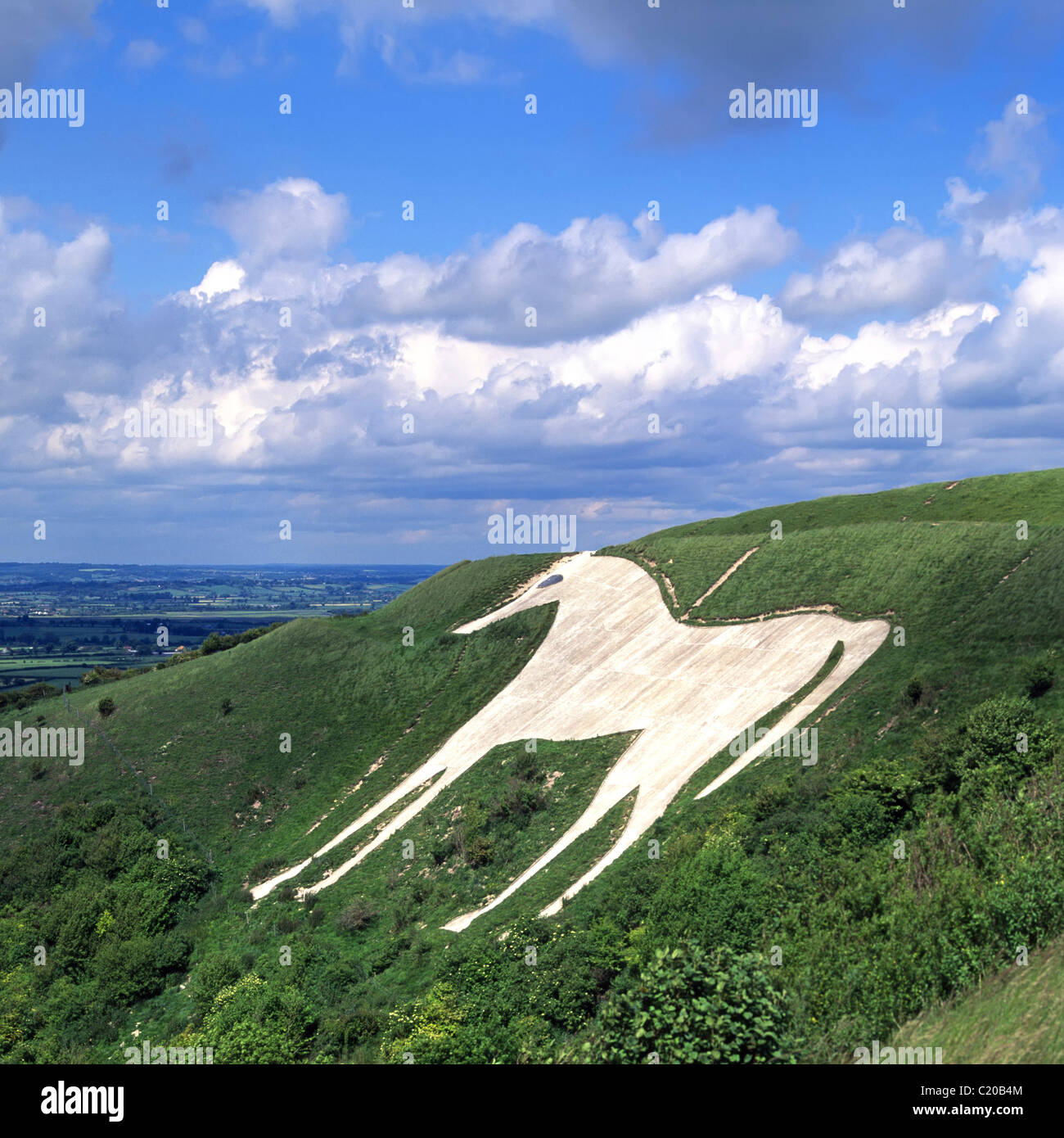 Westbury or Bratton White Horse hill figure hillside above Salisbury Plain originally cut into