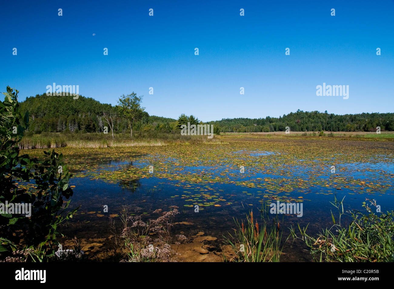 Small uninhabited lake (Lac Noir) in the municipality of Ste-Marie, QC Canada Stock Photo