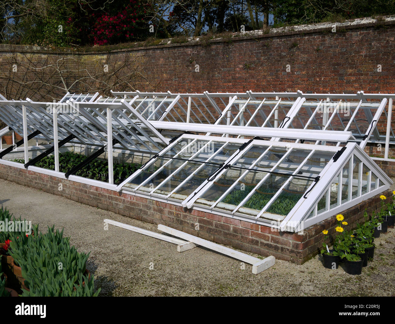 Exterior of a cold frame Lost Garden of Heligan  St Austell Cornwall UK Stock Photo
