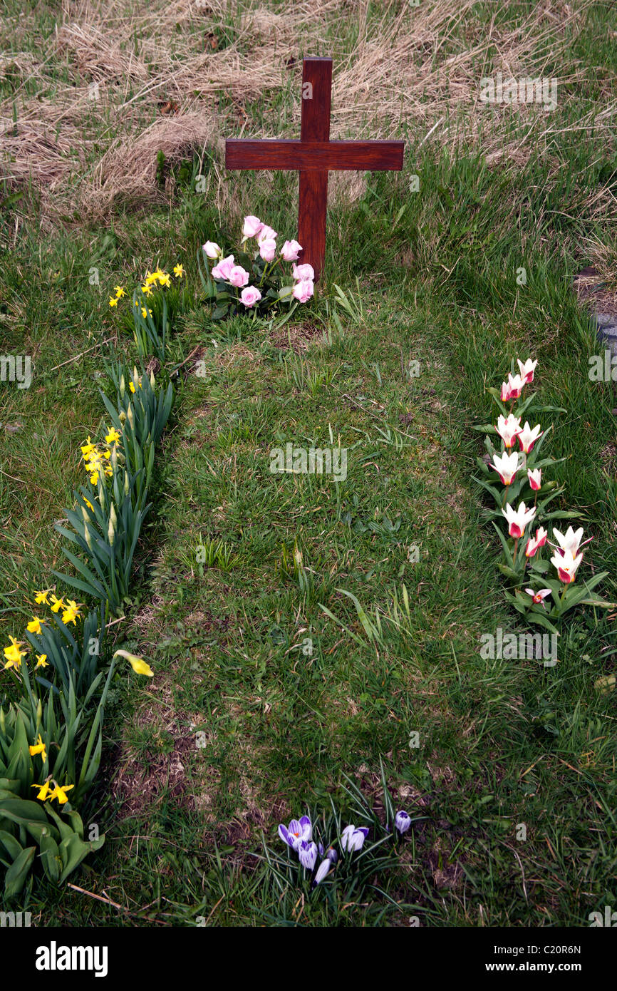 Fresh new grave with spring flowers growing around it at Undercliffe
