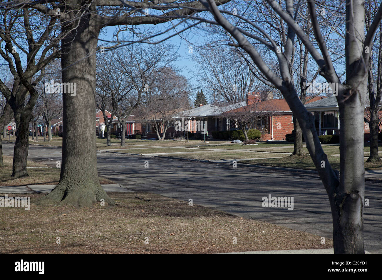 Suburban Detroit Neighborhood Stock Photo