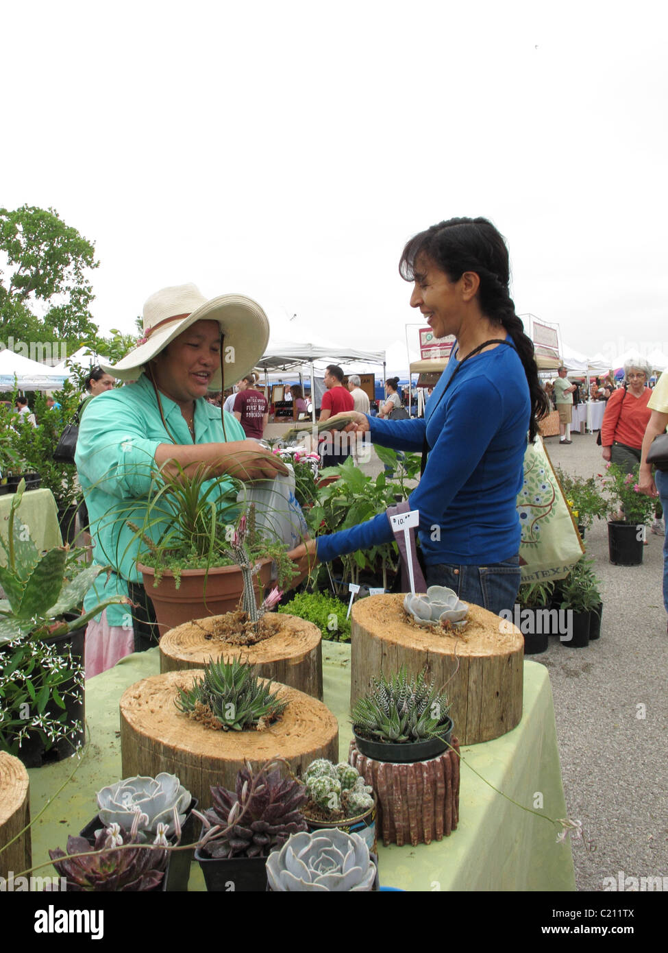 Hispanic woman buying plants from a Asian vendor at a farmers market in Austin, Texas Stock Photo