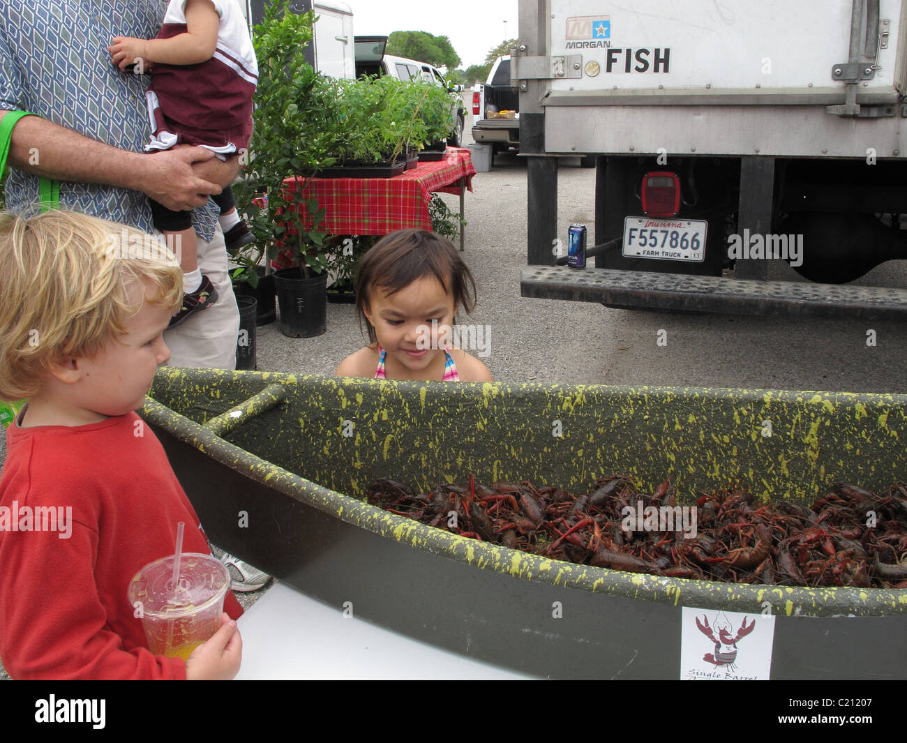 Children look at crawfish at a farmers' market in Austin, Texas Stock Photo
