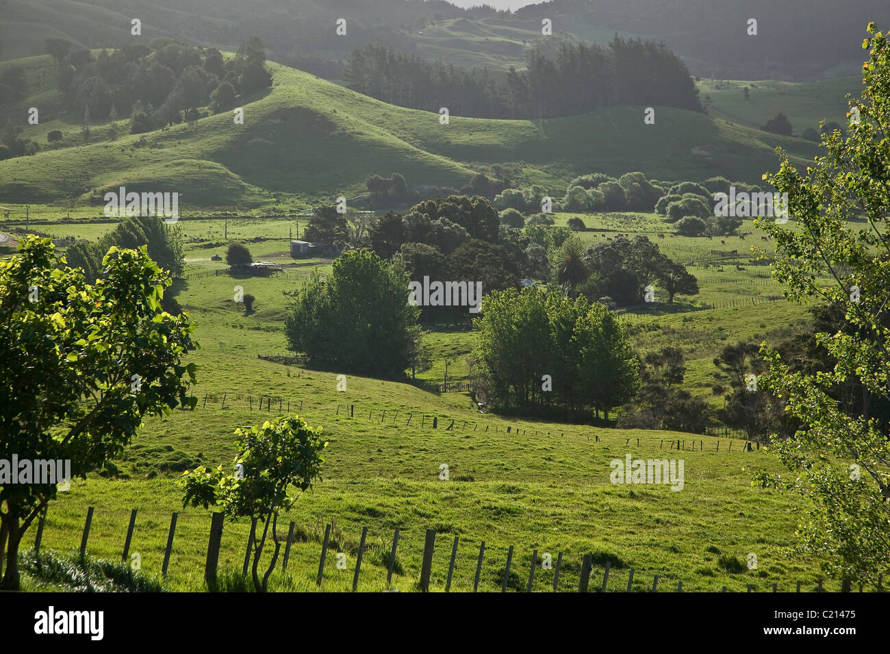 Landscape bay of island, New Zealand Stock Photo