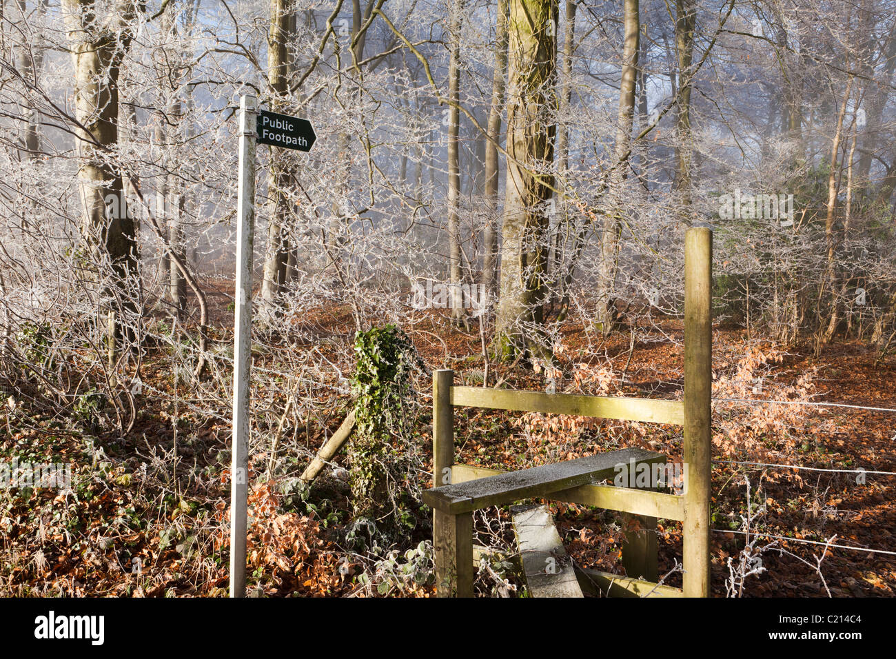 Hoar frost and mist in winter on a footpath in Maitlands Wood on Scottsquar Hill in the Cotswolds at Edge, Gloucestershire Stock Photo