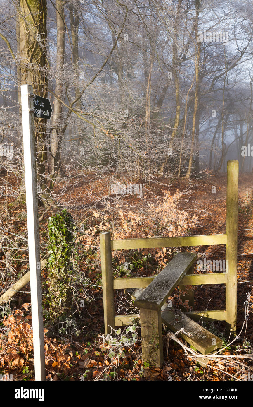 Hoar frost and mist in winter on a footpath in Maitlands Wood on Scottsquar Hill in the Cotswolds at Edge, Gloucestershire Stock Photo