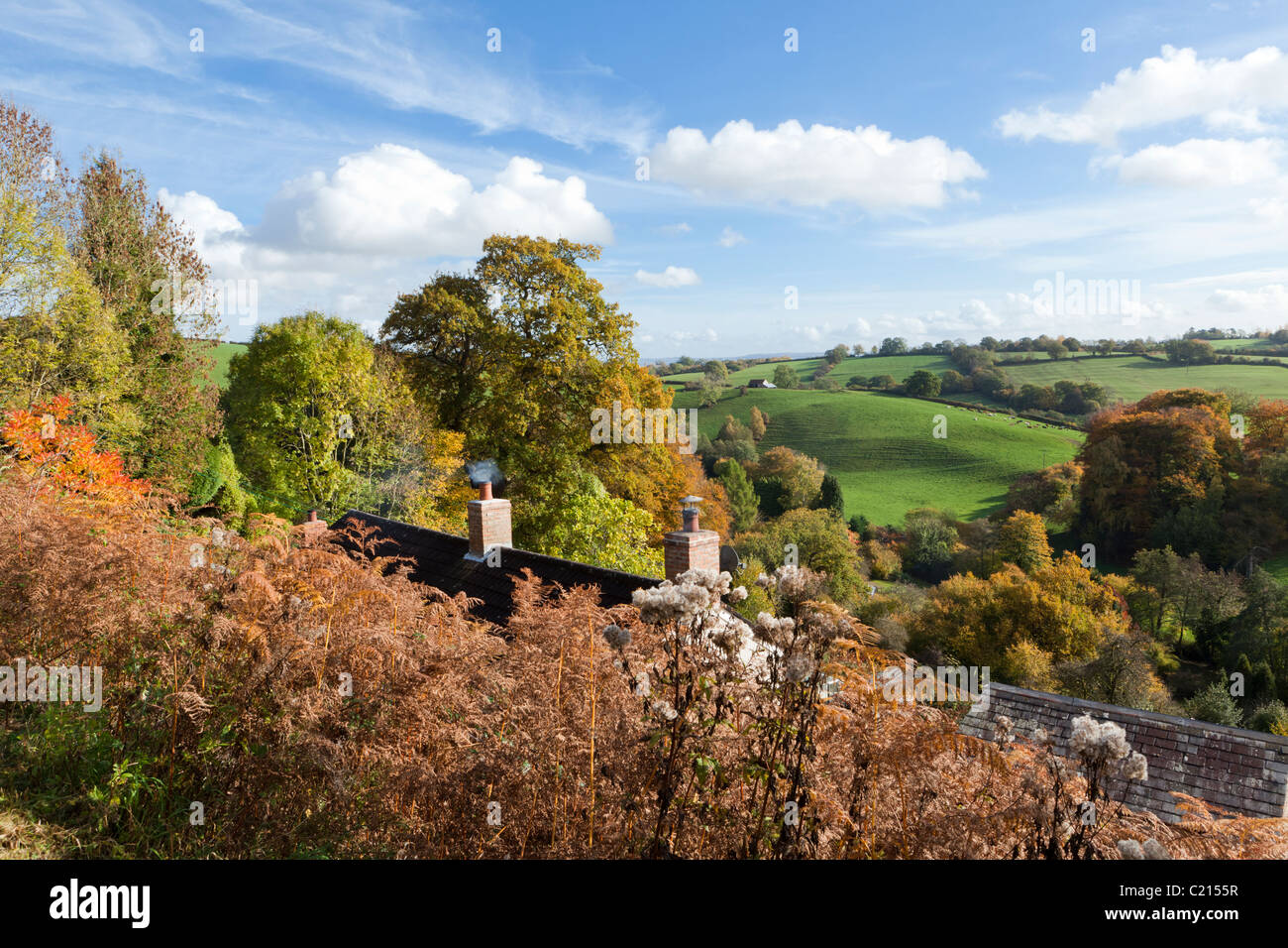 Autumn in the Forest of Dean at Two Bridges, south of Lower Soudley, Gloucestershire, England, UK Stock Photo