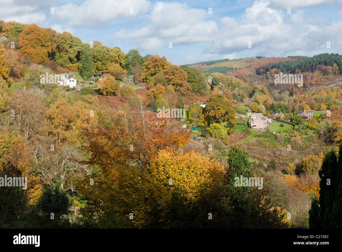 Autumn colours in the Forest of Dean at Two Bridges, south of Lower Soudley, Gloucestershire, England, UK Stock Photo