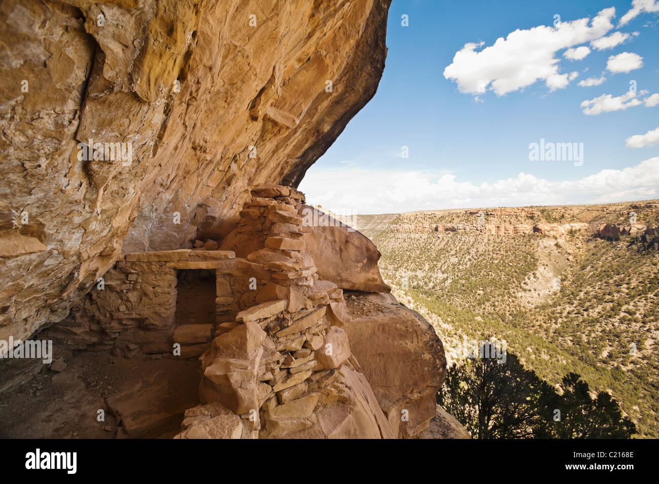 A view looking up the canyon while standing in Balcony House cliff dwelling in Mesa Verde National Park, Colorado, USA. Stock Photo