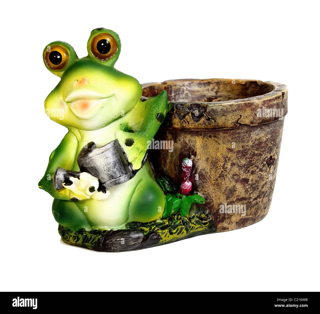 frog a flowerpot isolated on white background Stock Photo - Alamy