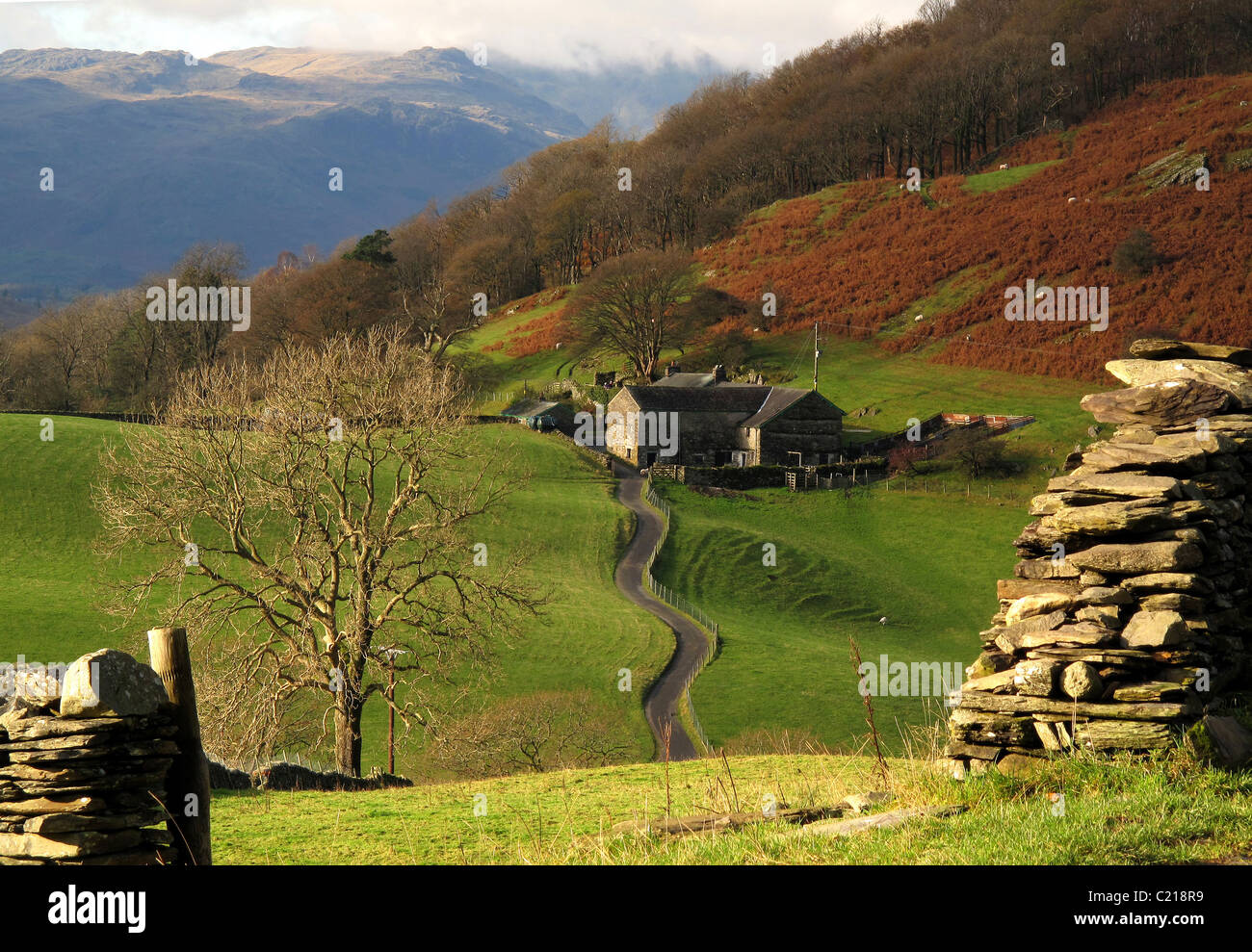 Opening in old dry stone wall with isolated old Lakeland hill farm beyond in Cumbria, England, UK Stock Photo