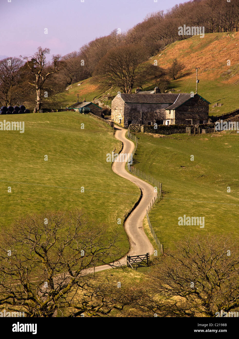 Isolated old Lakeland hill farm at the end of a winding road in Cumbria, England, UK Stock Photo