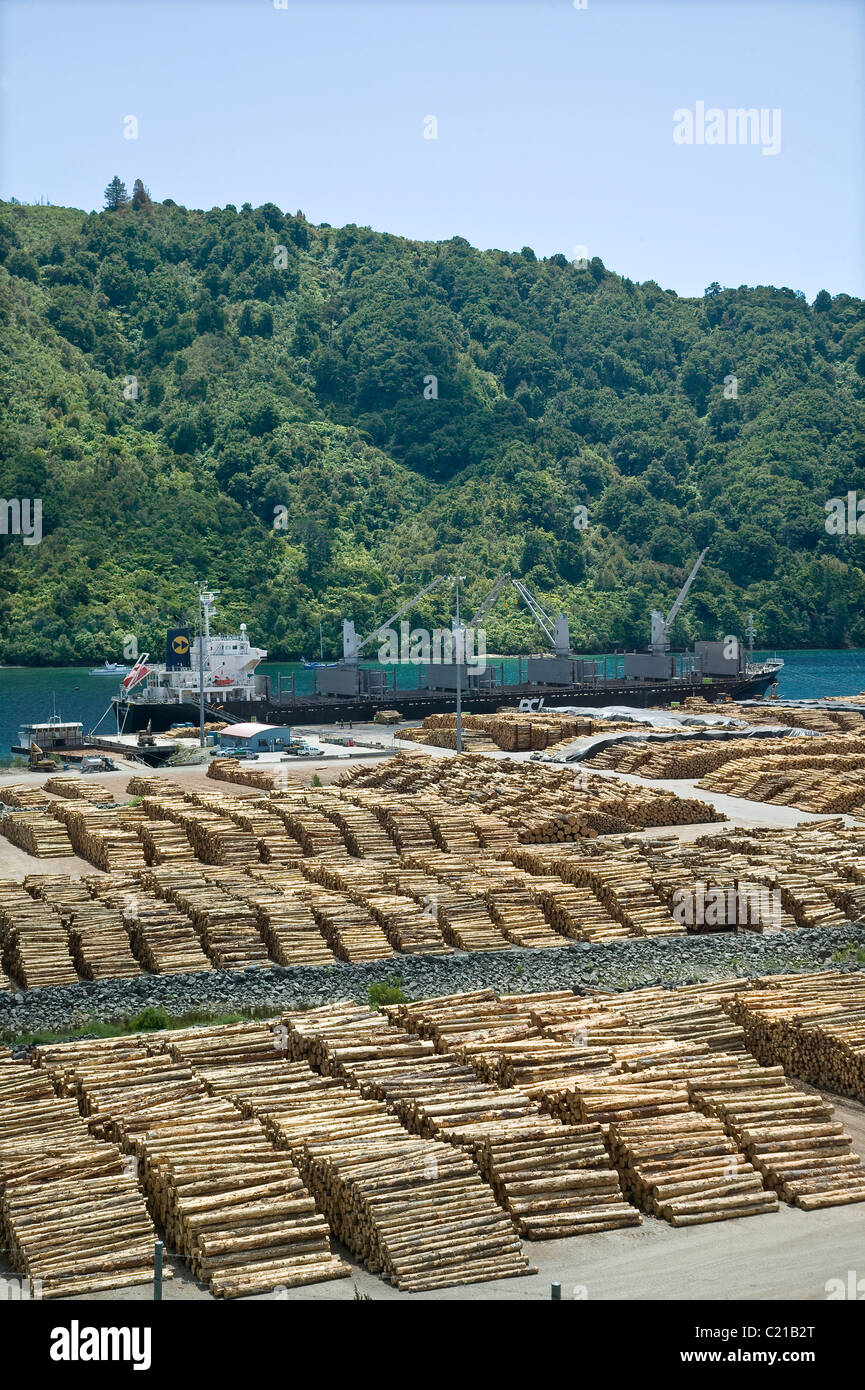 pile of trunks in harbour of Picton, New Zealand Stock Photo