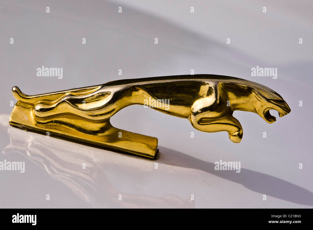 Jaguar ornament Stock Photo Alamy