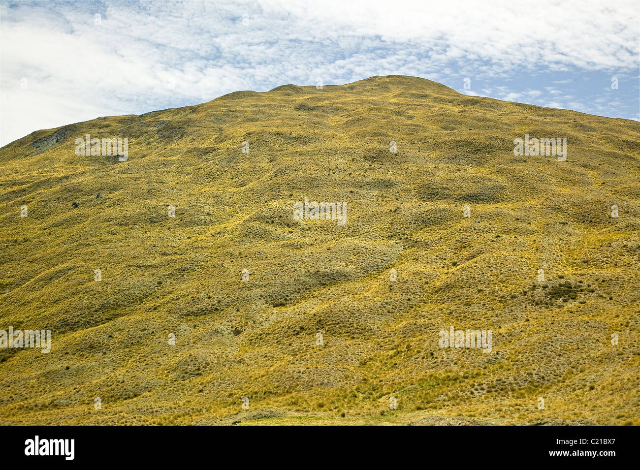 Landscape near Queenstown, New Zealand Stock Photo