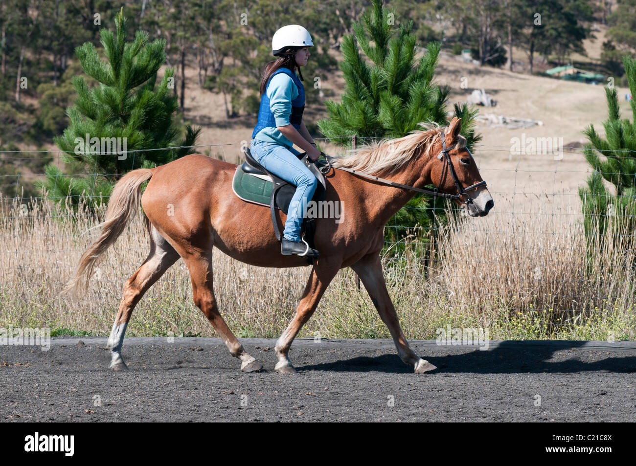 A young teenage girl learning to ride a horse at a riding school in ...