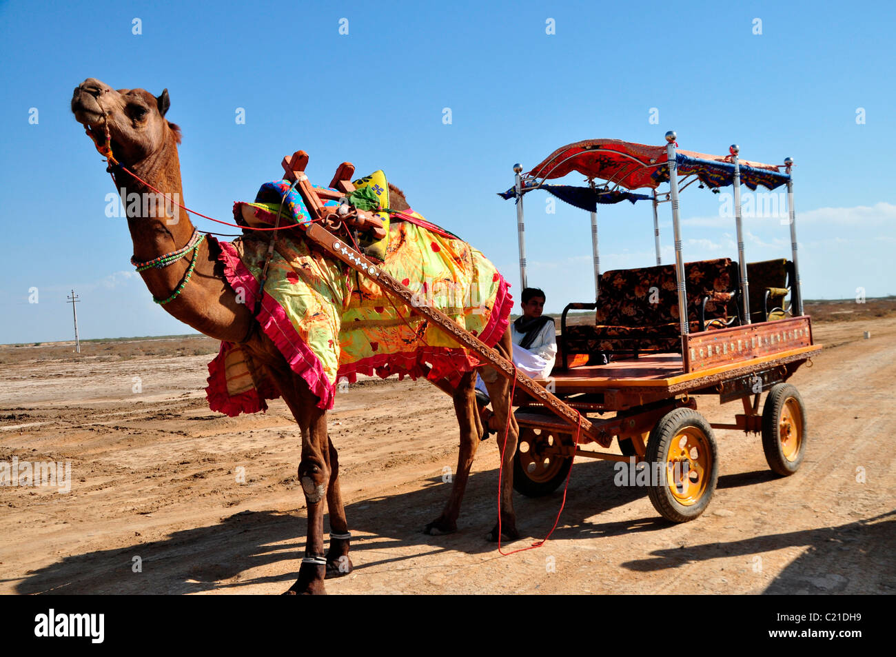 A decorated camel cart in Gujarat, India Stock Photo