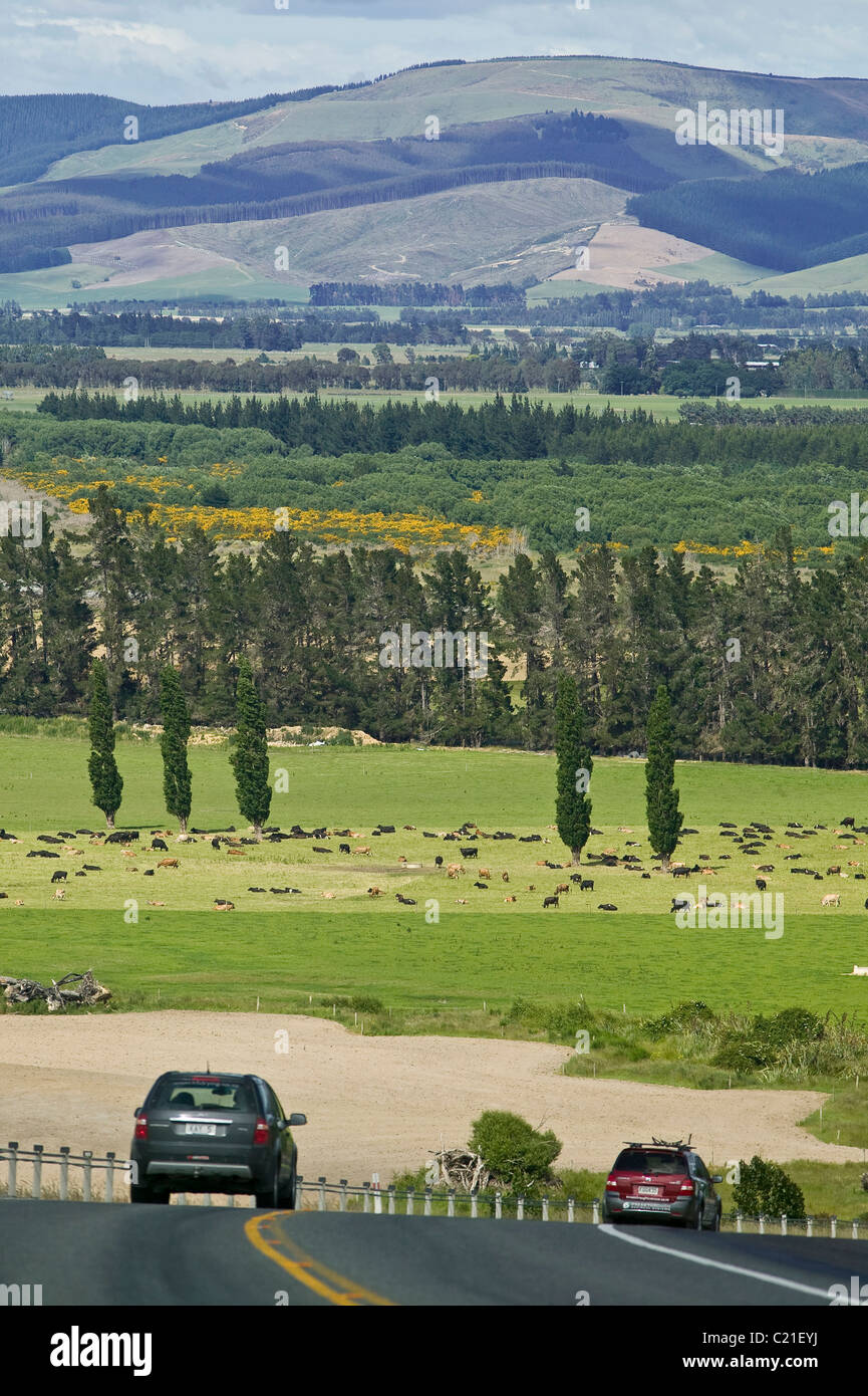 Landscape near Lumsden, New Zealand, South Island Stock Photo Alamy