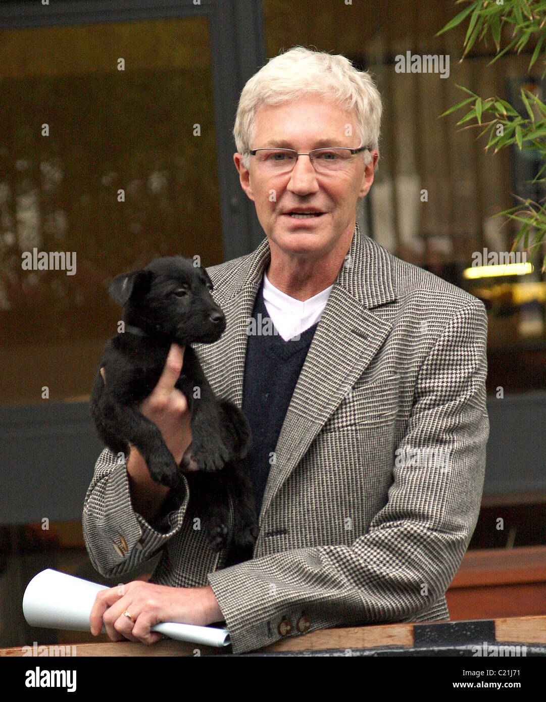 Can I Bathe My Puppy At 6 Weeks Old