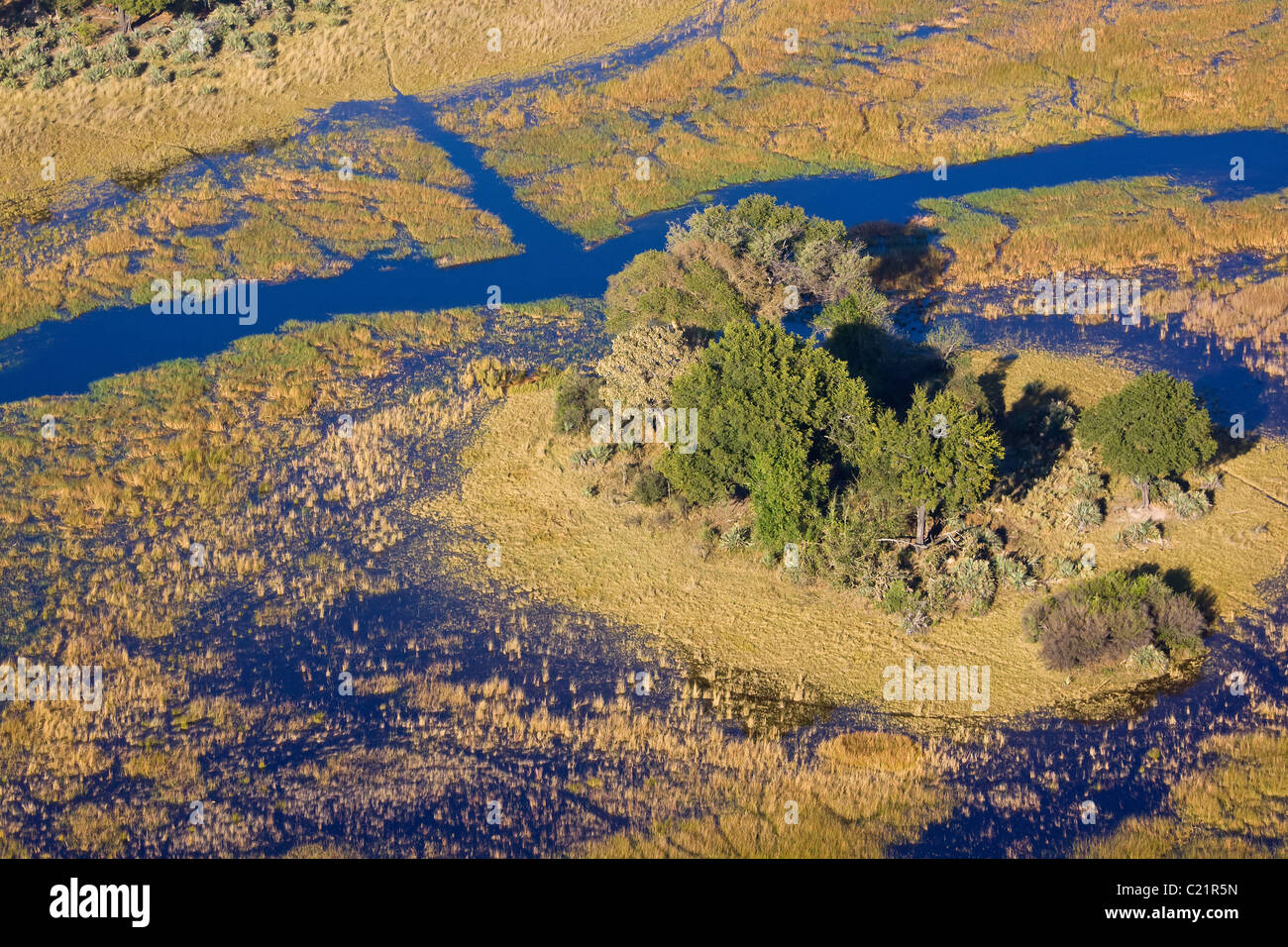 Okavango river, aerial view Stock Photo
