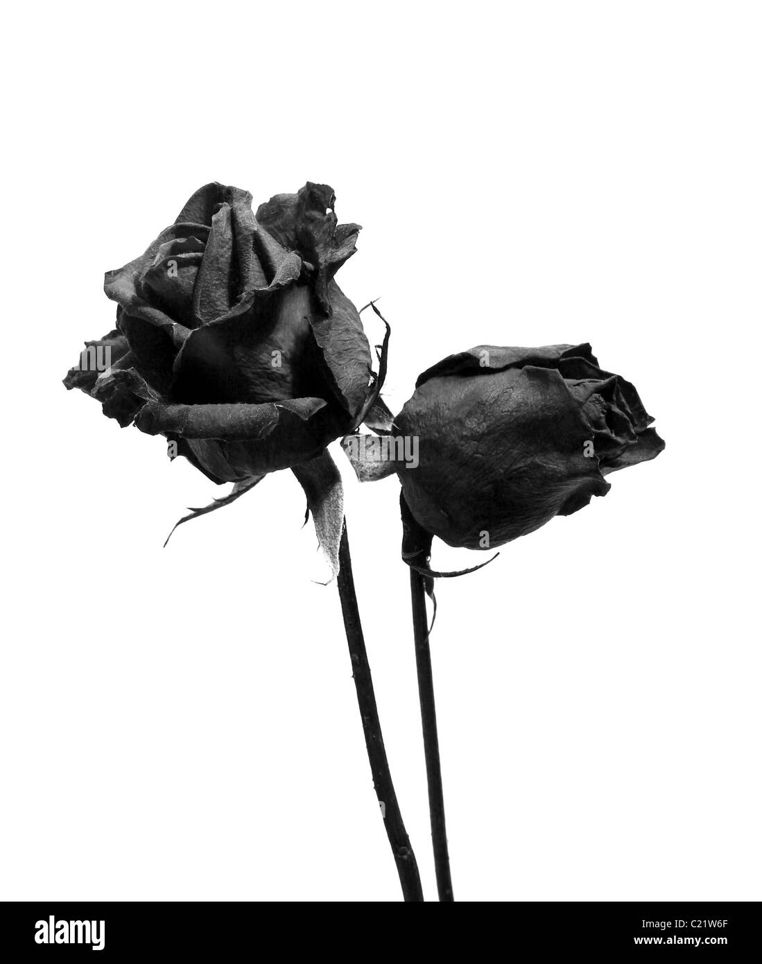 Dark red heart Black and White Stock Photos & Images - Alamy