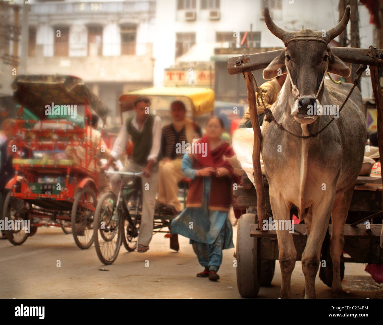 Ox and wagon in Delhi, India Stock Photo