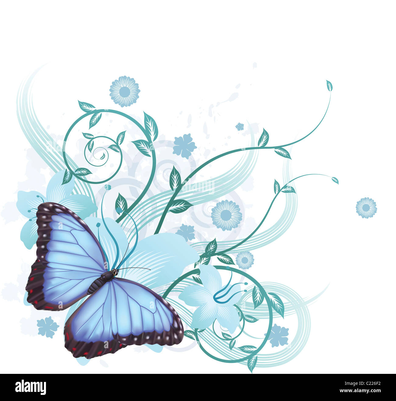 Beautiful floral background featuring hibiscus flowers and blue Morpho Peleides butterfly Stock Photo