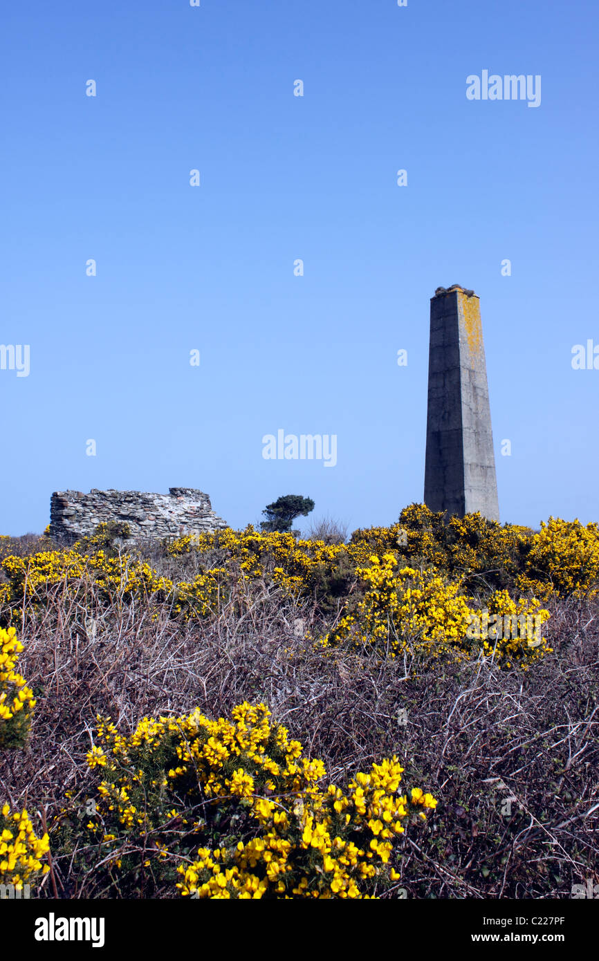 THE TIN MINES OF WHEAL KITTY ON GOONLAZE DOWNS. St AGNES CORNWALL UK. Stock Photo