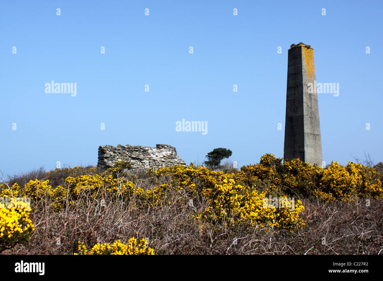 THE TIN MINES OF WHEAL KITTY ON GOONLAZE DOWNS. St AGNES CORNWALL UK. Stock Photo