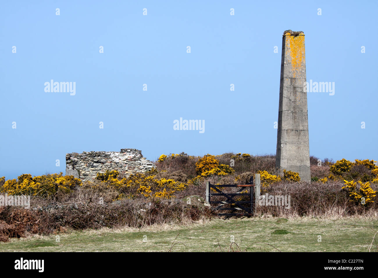 THE TIN MINES OF WHEAL KITTY ON GOONLAZE DOWNS. St AGNES CORNWALL UK. Stock Photo
