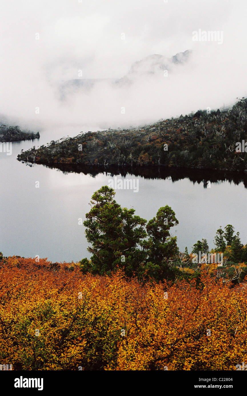 Cradle Mountain hidden in clouds with autumn-tinged deciduous beech (Nothofagus gunnii) and Dove Lake in the foreground. Stock Photo