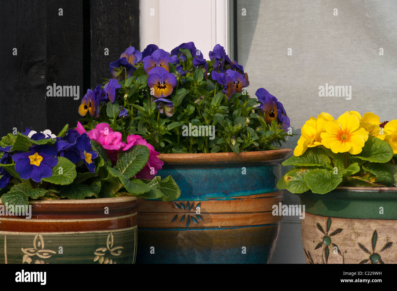 Bedding Plants In Decorative Garden Pots Stock Photo Alamy