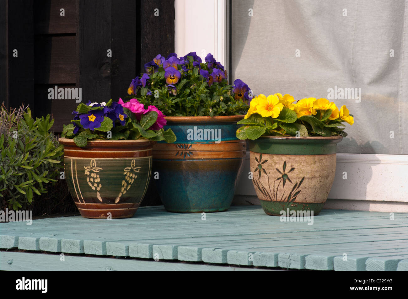 Bedding Plants In Decorative Garden Pots Stock Photo