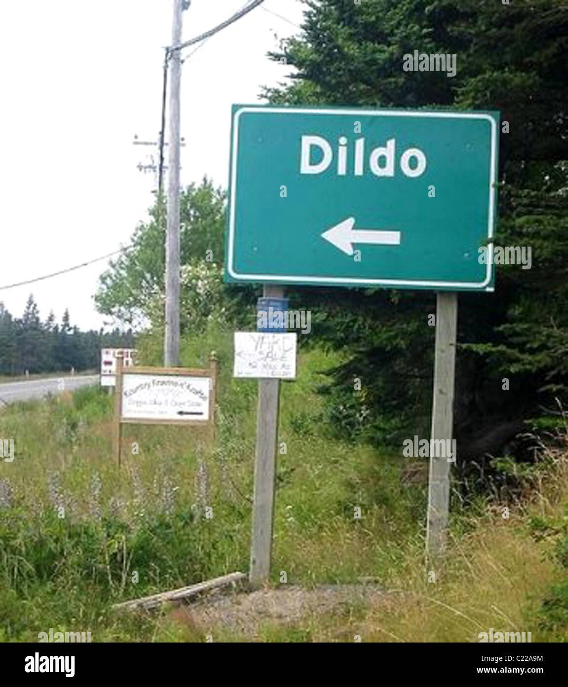 Funny Road Signs - Dildo Stock Photo - Alamy