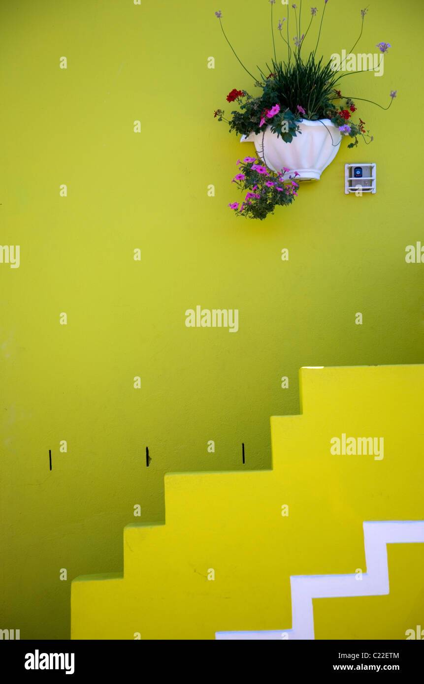 Bo Kaap home Wall Pot Plant Cape Town Stock Photo Alamy