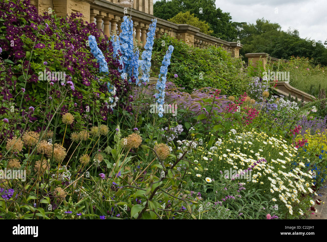 Harewood House terrace border Stock Photo