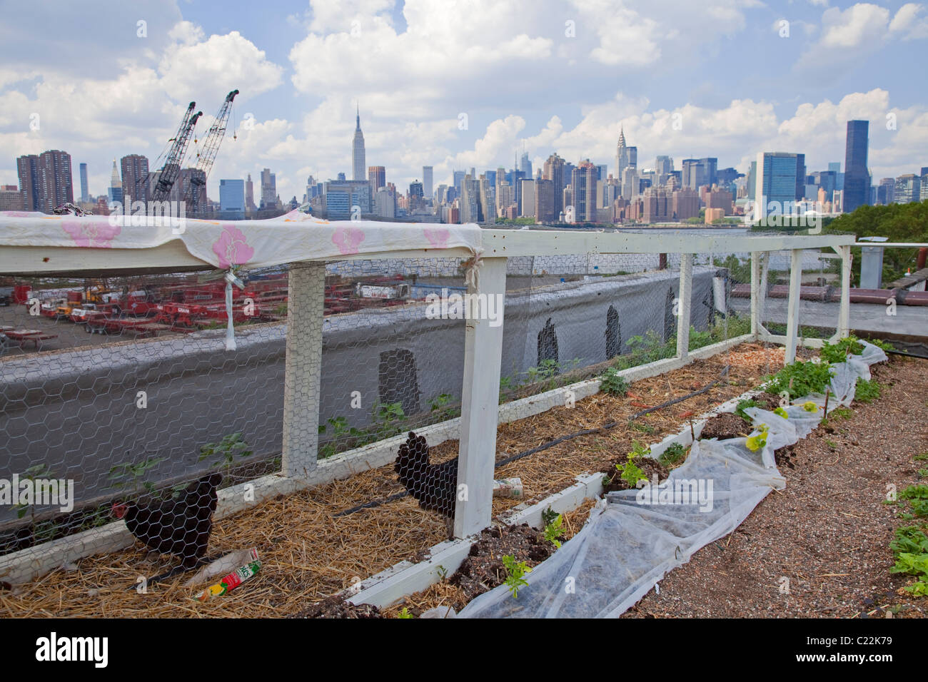 Eagle Street Rooftop Farm is a 6,000 sq ft rooftop urban farm in