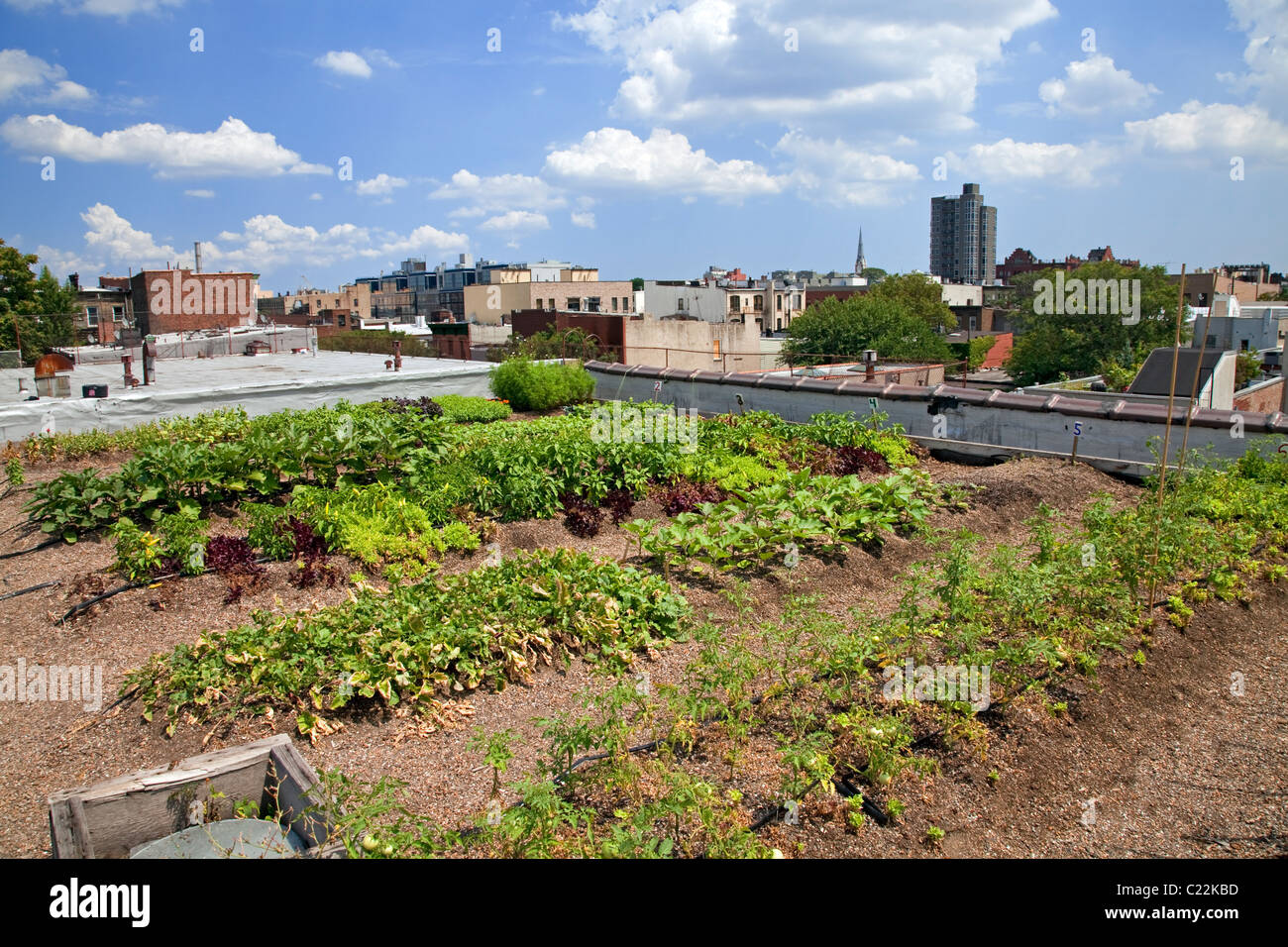 Eagle Street Rooftop Farm is a 6,000 sq ft rooftop urban farm in