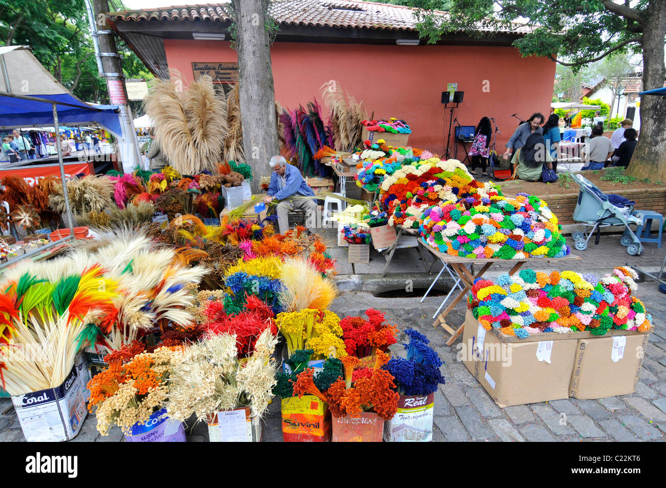 Flower street vendor, Embu das Artes, São Paulo, Brazil Stock Photo Alamy