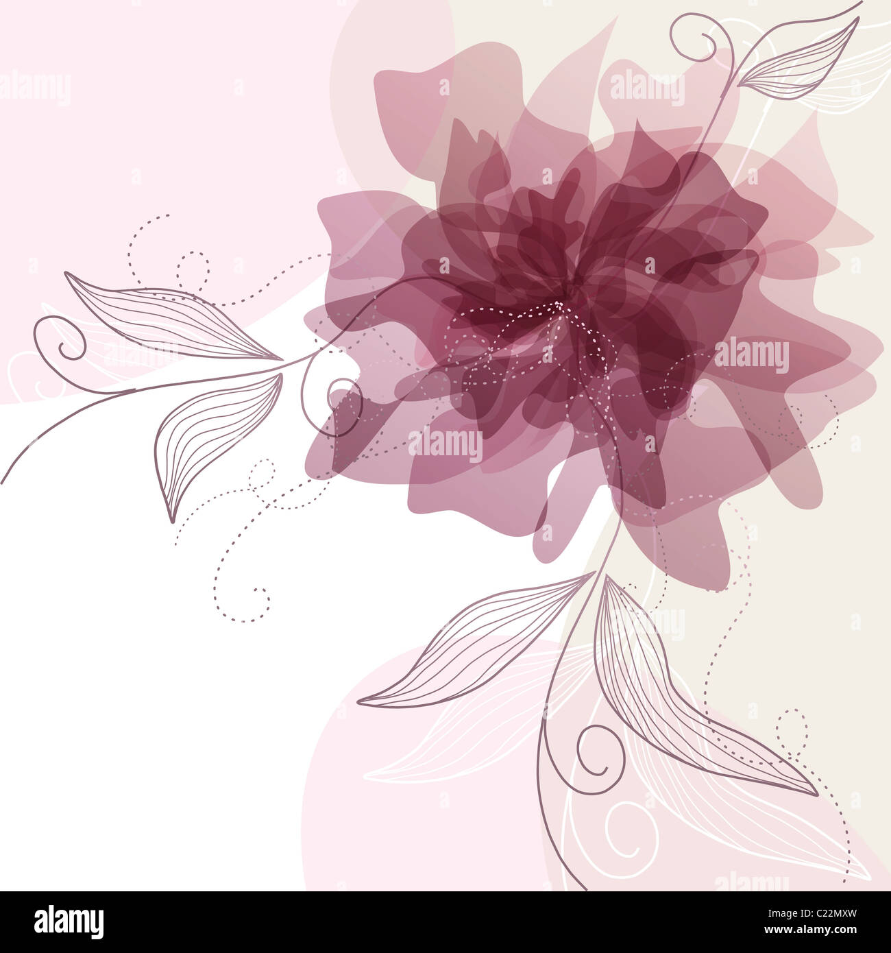 Delicate floral background Stock Photo Alamy