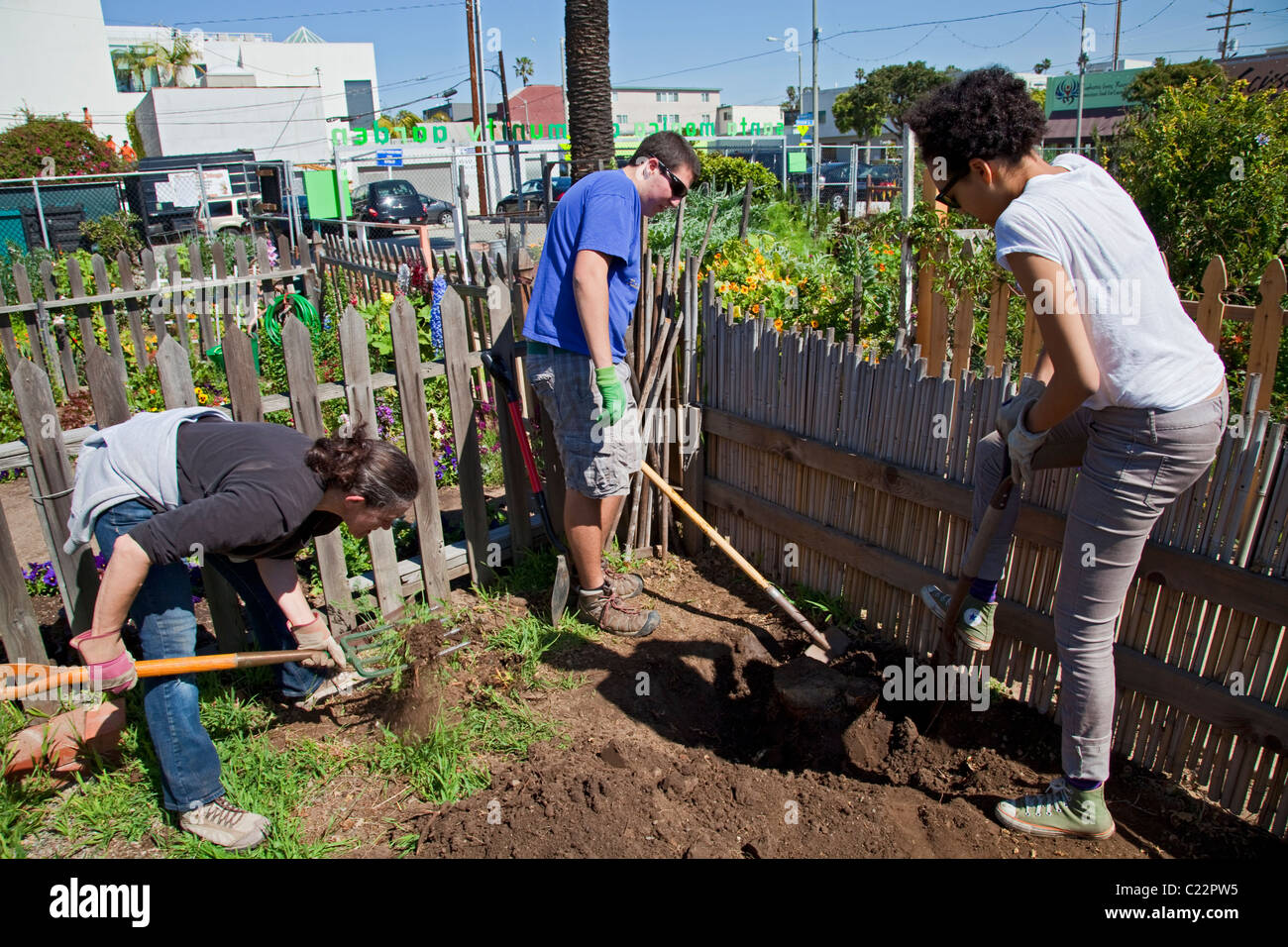 Diggin out a plot at Santa Monica Community Garden, Main Street, Santa ...
